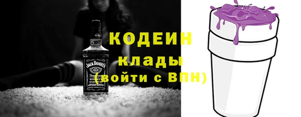 молекула духа Алзамай