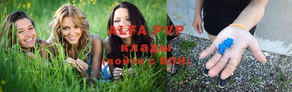 дурь Алексин