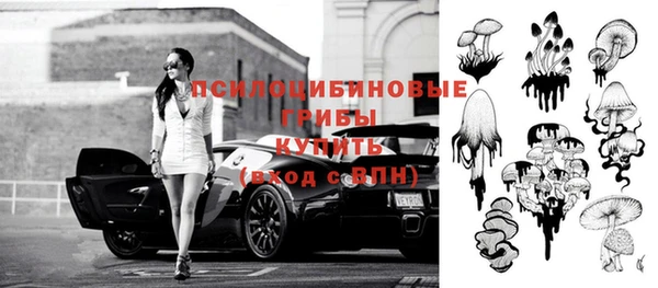 молекула духа Алзамай