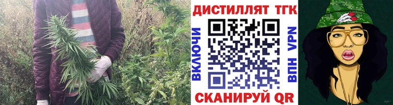 купить закладку  Данков  Дистиллят ТГК Wax 
