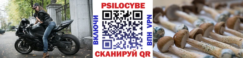 Псилоцибиновые грибы Psilocybe  Данков 
